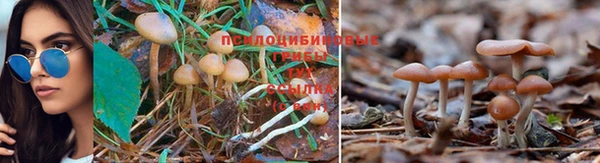 не бодяженный Алексеевка
