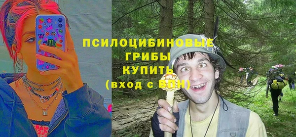 винт Алексин