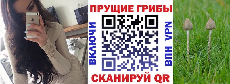 Псилоцибиновые грибы GOLDEN TEACHER  Красногорск 